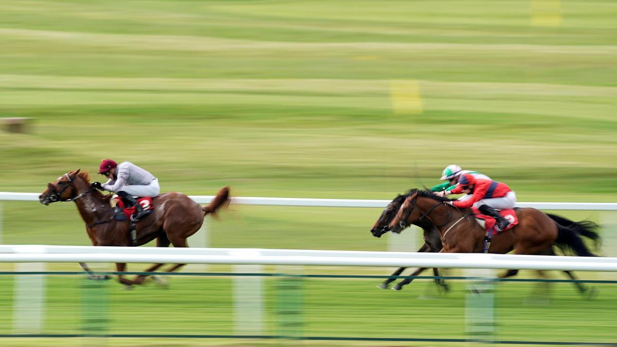 Sandown racecourse